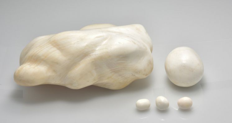 Investigating Fake Pearls Made from Tridacna Gigas Shells