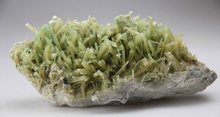 Gem-A Gemstone & Mineral Collection: Understanding Selenite