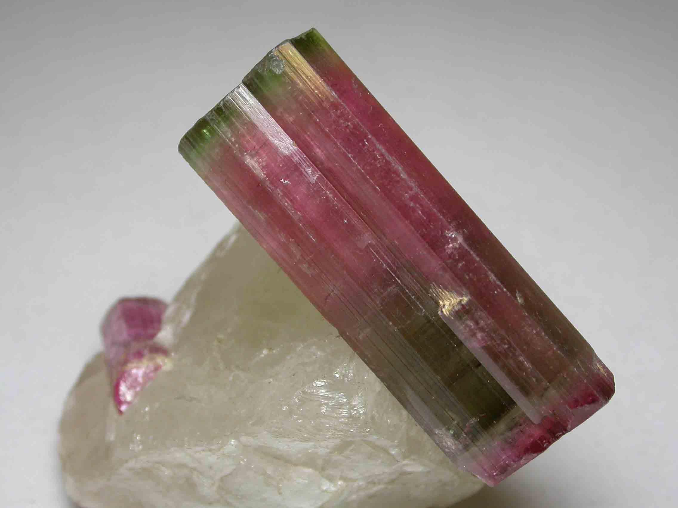 Why Does the Study of Gemmology Matter? - Study of Gemmology,science of gemmology,Why Does the Study of Gemmology Matter? - Tourmaline Crystal BiColour 9202 PD